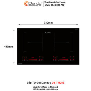 Bếp từ đôi Dandy DY-TM288