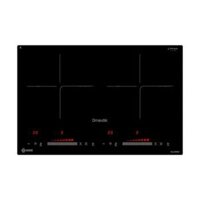 Bếp từ đôi D'mestik ML206 DKI