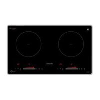 Bếp từ đôi D'mestik ML208 DKI