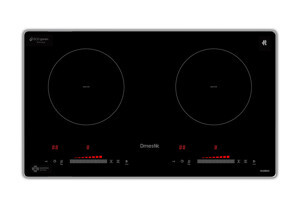 Bếp từ đôi D'mestik ML208 DKI