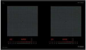 Bếp từ đôi Dusler DL8800Plus