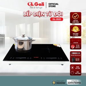 Bếp từ đôi Gali GL-2025