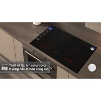 Bếp từ đôi lắp âm BlueStone ICB-6917