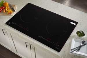 Bếp từ đôi Pramie 2205
