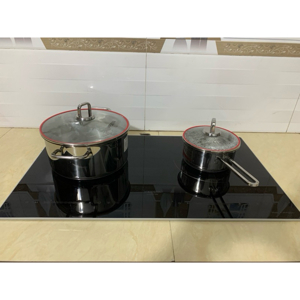 Bếp từ đôi Vanessa VS 989