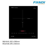 Bếp từ đơn âm Fandi FD-119Mi