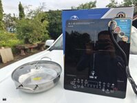 Bếp từ đơn cảm ứng Trường Thọ BA229