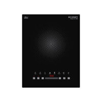 Bếp từ đơn Canzy CZ-109I