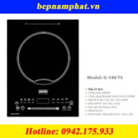 Bếp từ đơn Giovani G-188TS