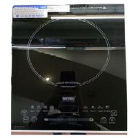 Bếp từ đơn Giovani G-188TS