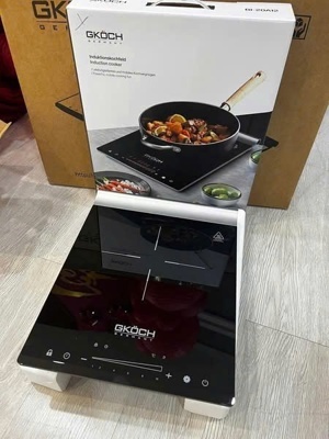 Bếp từ đơn Gkoch BI-20A12
