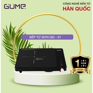 Bếp từ đơn GUME GIC LITE-02