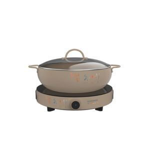 Bếp từ đơn Hawonkoo CEH-101-I