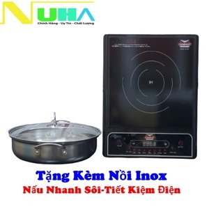 Bếp từ đơn Ladomax HA-667