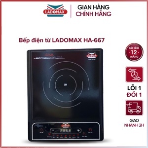 Bếp từ đơn Ladomax HA-667