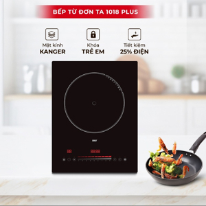 Bếp từ đơn Lorca TA-1018 Plus