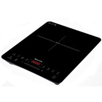 Bếp từ đơn Malloca MCT-K30