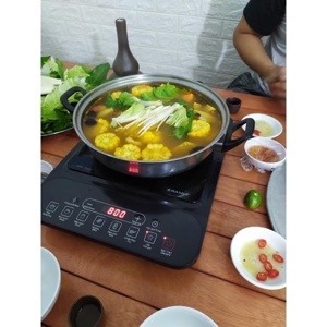 Bếp từ đơn Nasun NS-B405