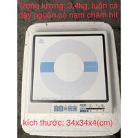 Bếp từ đơn nội địa Nhật Amway E-9863J.