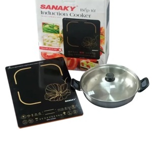 Bếp từ đơn Sanaky SNK-BTS22B