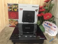 BẾP TỪ ĐƠN STEBA IK60E