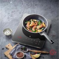 Bếp từ đơn WMF Kult X Mono