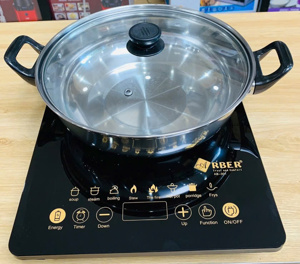 Bếp từ dương 1 vùng nấu Arber AB-301