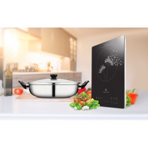 Bếp từ dương 1 vùng nấu Elmich Smartcook ICS-3876