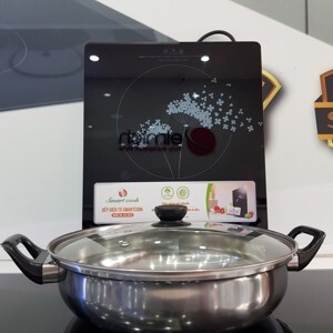 Bếp từ dương 1 vùng nấu Elmich Smartcook ICS-3876