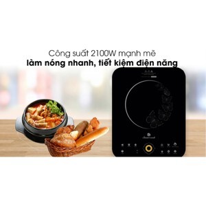 Bếp từ dương 1 vùng nấu Elmich Smartcook ICS-3873