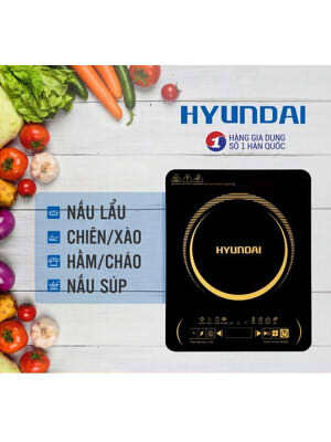 Bếp từ dương 1 vùng nấu Hyundai HDE 1120