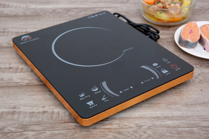 Bếp từ dương 1 vùng nấu Iruka I78