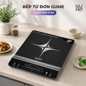 Bếp từ dương 1 vùng nấu Nonan IC03 (IC-03)