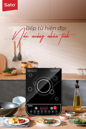 Bếp từ dương 1 vùng nấu Sato BT062
