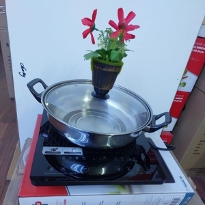 Bếp từ dương 1 vùng nấu Sunhouse SHD6802