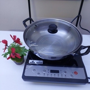 Bếp từ dương 1 vùng nấu Sunhouse SHD6159