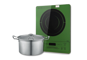 Bếp từ dương 1 vùng nấu Taka I1V