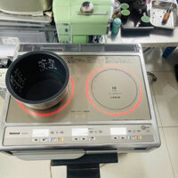 Bếp Từ Dương National KZ-KM22A