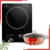 Bếp từ Elmic Smart Cook ICS-3873