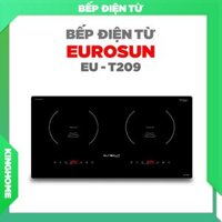 Bếp từ Eurosun EU-T209