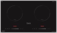 Bếp từ Fermi NG 004