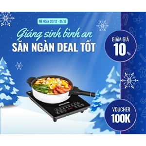 Bếp từ Gen Electric GE-A03