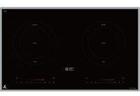 Bếp từ Ggm GCI48-2I