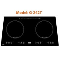 Bếp từ GIOVANI G-242T