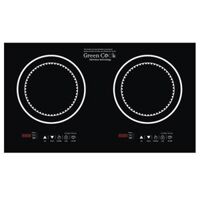 Bếp từ Green Cook GC-H1