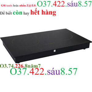 Bếp từ hồng ngoại âm 2 vùng nấu Kangaroo KG499N
