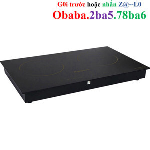 Bếp từ hồng ngoại âm 2 vùng nấu Kangaroo KG499N