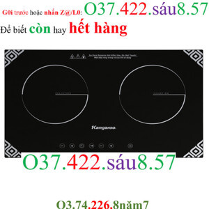 Bếp từ hồng ngoại âm 2 vùng nấu Kangaroo KG498N