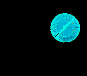 Bếp từ hồng ngoại âm 3 vùng nấu Fandi FD-322IH