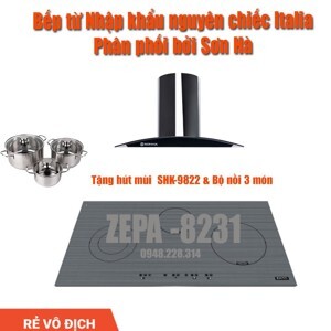 Bếp từ hồng ngoại âm 3 vùng nấu Sơn Hà ZEPA-8231